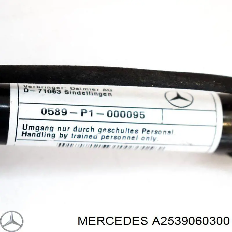 Rejilla de ventilación, paragolpes delantero, central Mercedes A2539060300 precio, desde 63,36 EUR
