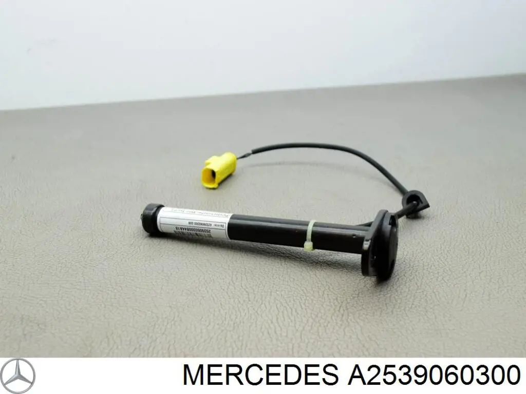 A2539060300 Mercedes