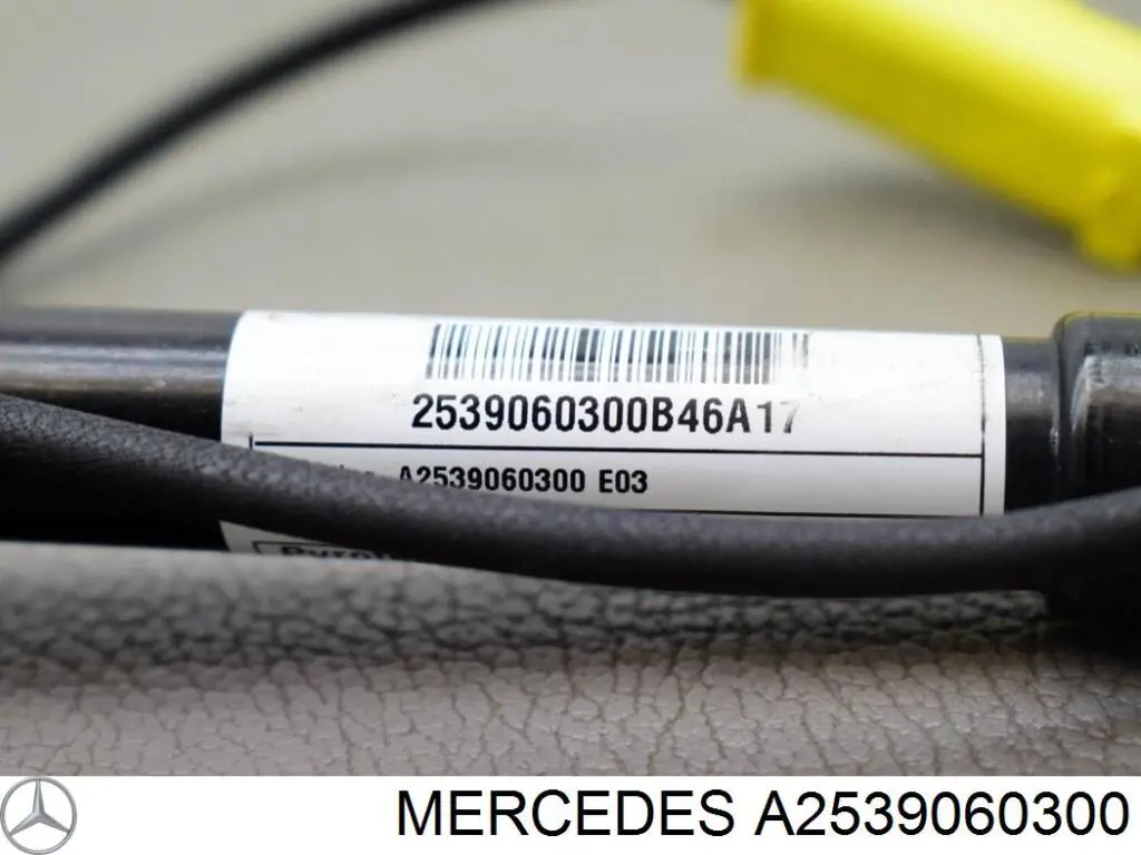 Rejilla de ventilación, paragolpes delantero, central Mercedes A2539060300 precio, desde 69,06 EUR