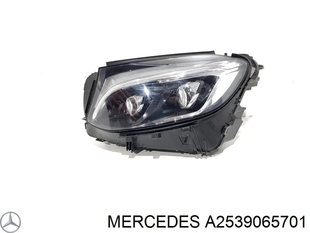 2539065701 Mercedes