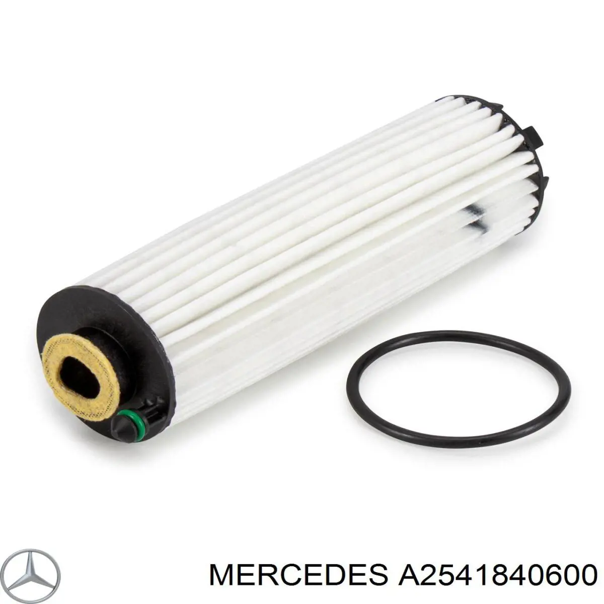 A2541840600 Mercedes