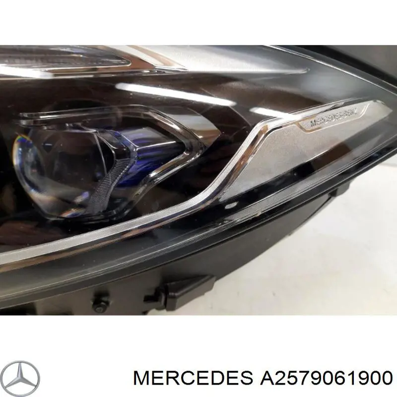 A2579061900 Mercedes