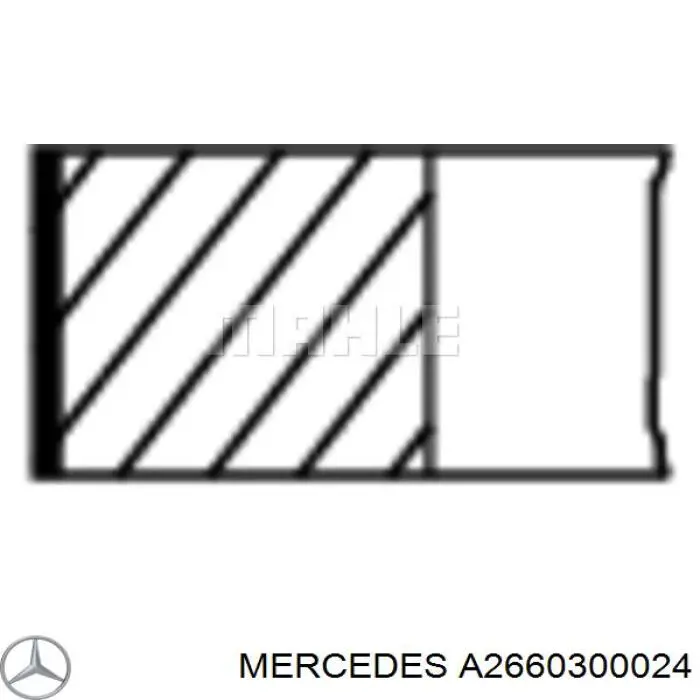 A2660300024 Mercedes