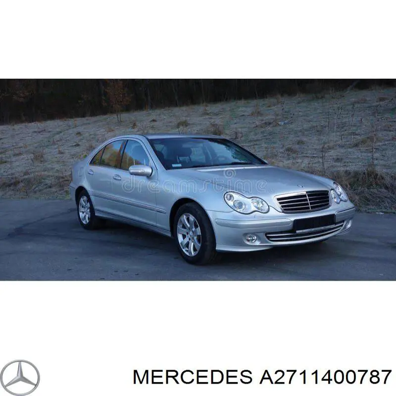 Resonador del filtro de aire Mercedes A2711400787 precio, desde 158,27 EUR