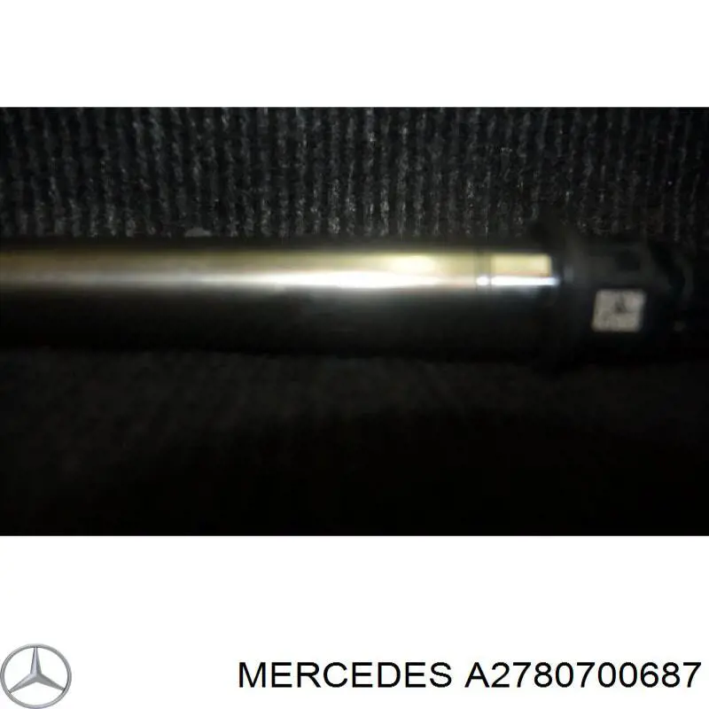 A2780700687 Mercedes inyector