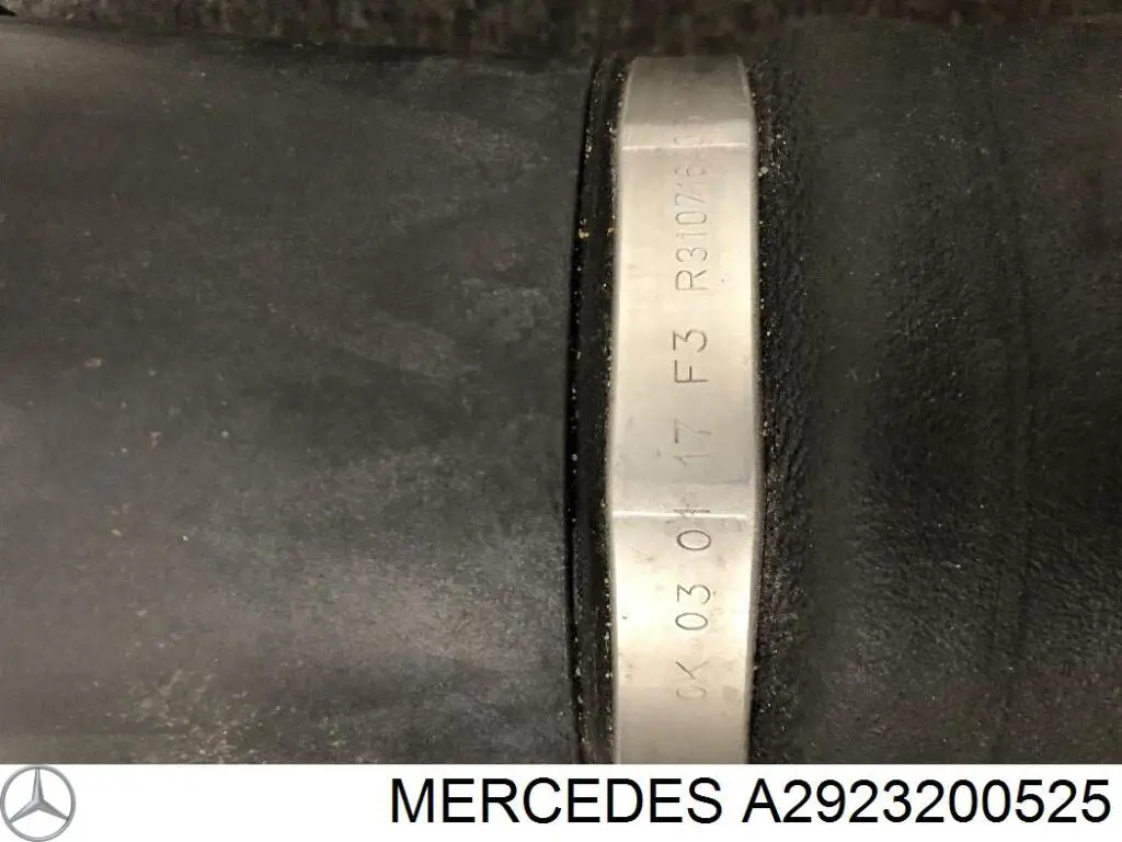 Comprar A2923200525 Mercedes Bolsa de aire del eje trasero