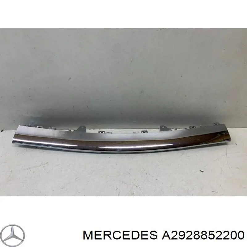 A292885220064 Mercedes