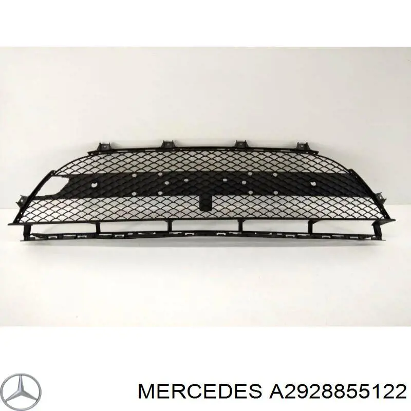 A292885512228 Mercedes