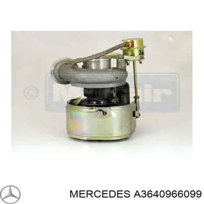 3640964299 Mercedes