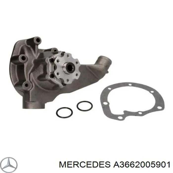 A3662005901 Mercedes Bomba refrigerante coche
