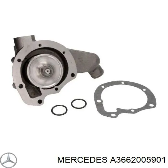 Comprar A3662005901 Mercedes Bomba de agua para motor