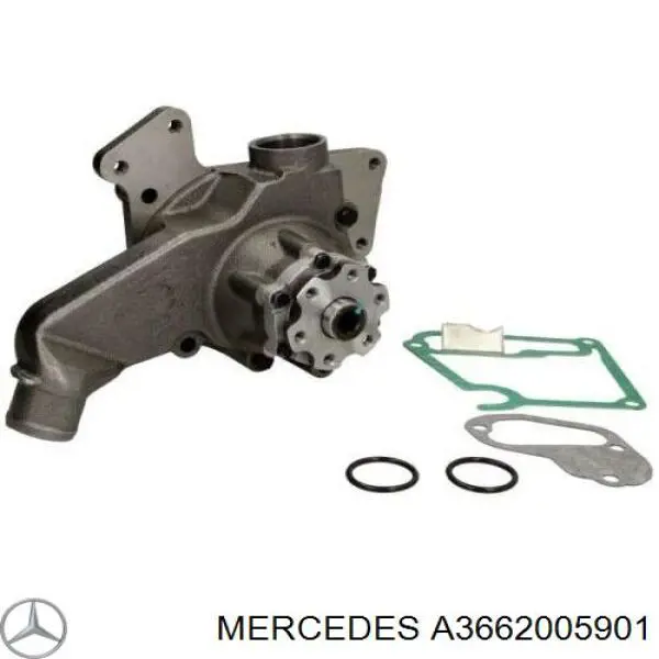 Bombeadora de agua Mercedes A3662005901 precio, desde 121,69 EUR