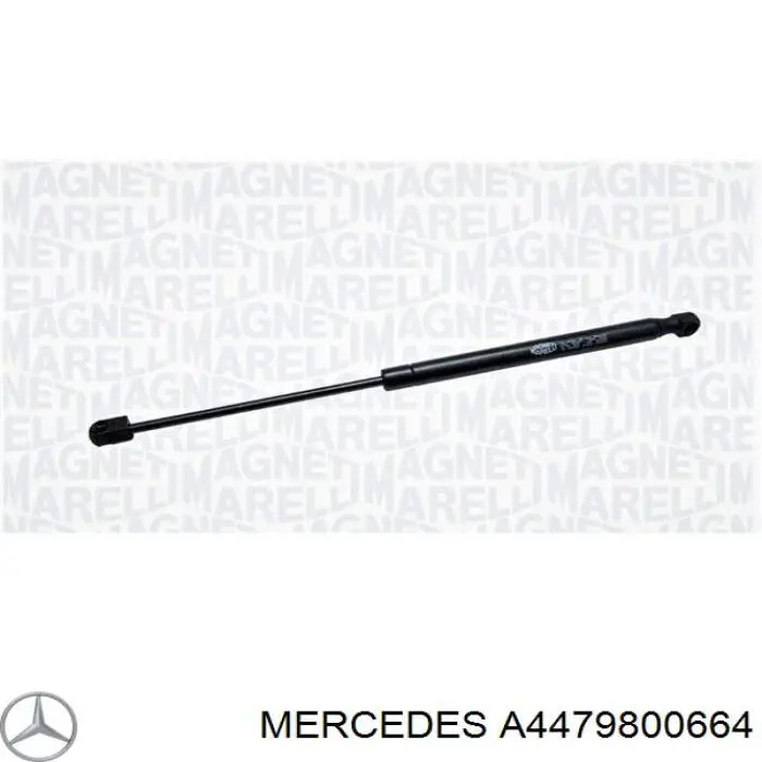 Muelle neumático, tapa delantera Mercedes A4479800664 precio, desde 30,25 EUR