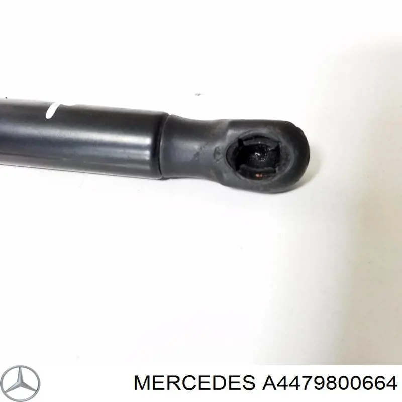 4479800664 Mercedes muelle neumático, capó de motor