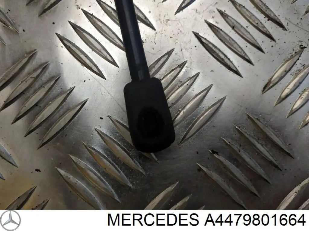 4479801664 Mercedes