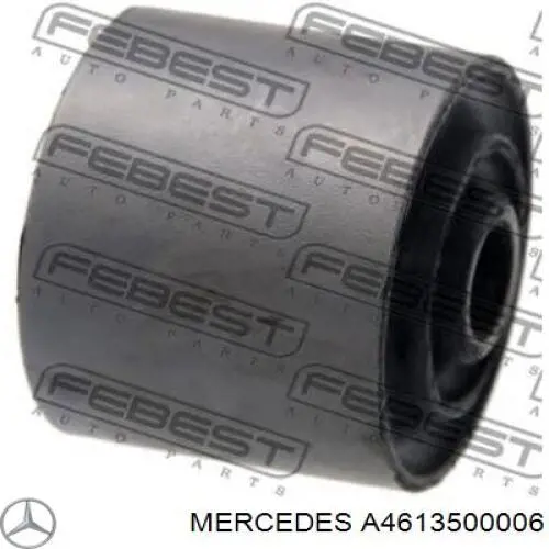 4613500006 Mercedes