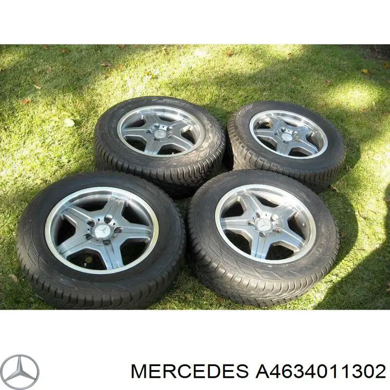 A4634011302 Mercedes