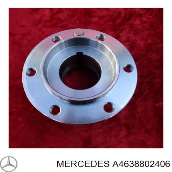 Guardabarros delanteros derecho Mercedes 4638802406 precio, desde 1079,01 EUR