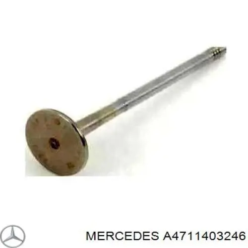  Mercedes A4711403246 precio, desde 365,01 EUR
