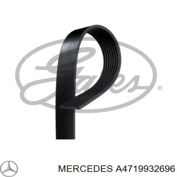 A4719932696 Mercedes correa trapezoidal