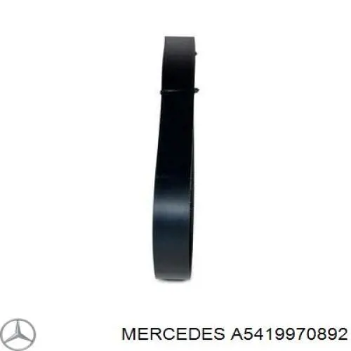 149977392 Mercedes correa trapezoidal