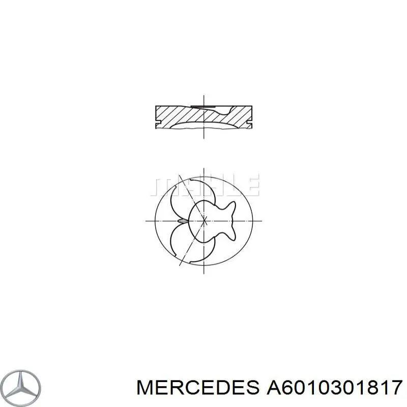 Pistón completo para 1 cilindro, STD para Mercedes S (W140)