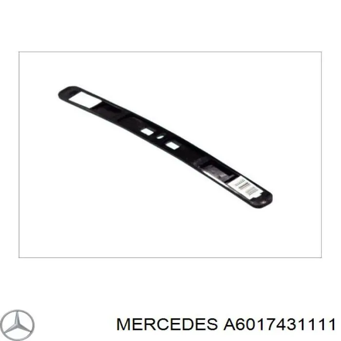 A6017431111 Mercedes tira inferior de la puerta trasera con bisagras