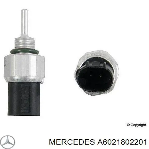 Bomba De Aceite A6021802201 Mercedes