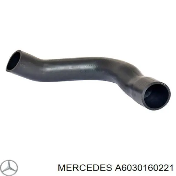 A6030160221 Mercedes junta de la tapa de válvulas del motor
