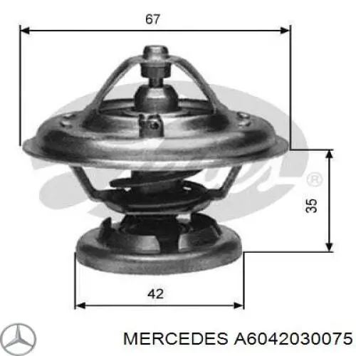 A6042030075 Mercedes termostato