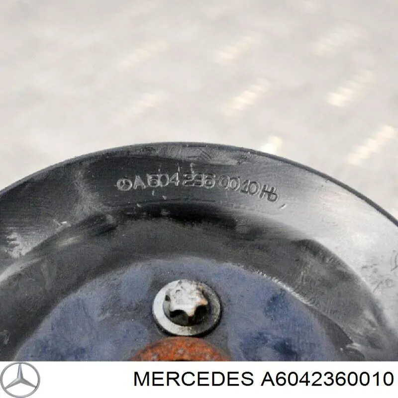 A6042360010 Mercedes polea, servobomba