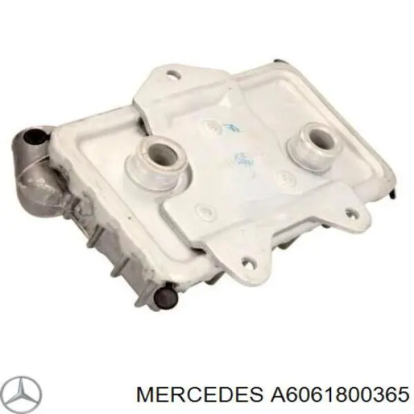 A6061800365 Mercedes radiador de aceite, bajo de filtro