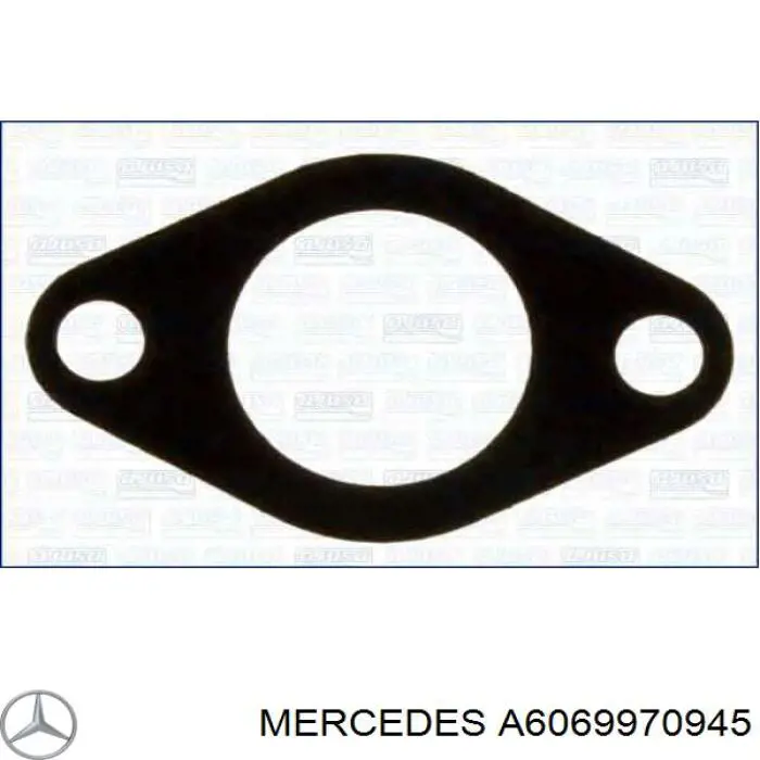 Anillo de sellado del intercambiador de calor de aceite para Mercedes G (W463)