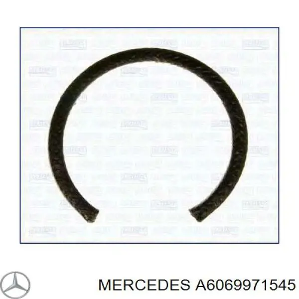 Junta tórica para boquilla de lubricación de cadena de distribución para Mercedes E (W210)