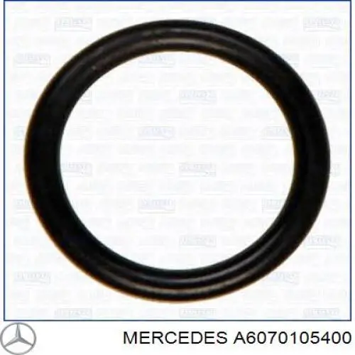 A6070105400 Mercedes 