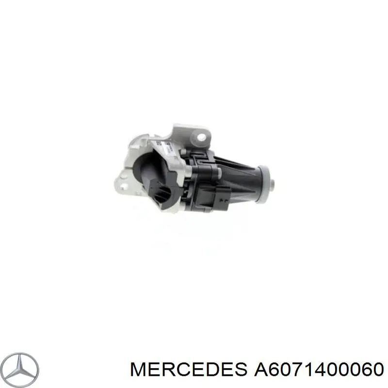 EGR Mercedes A6071400060