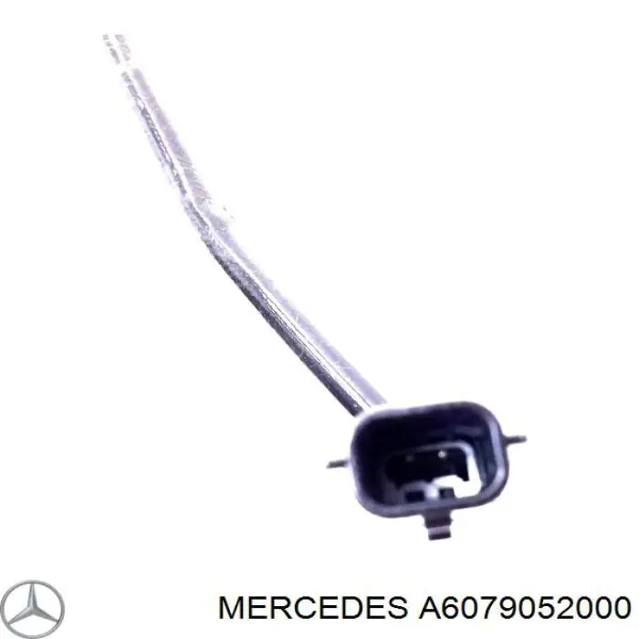 A6079052000 Mercedes