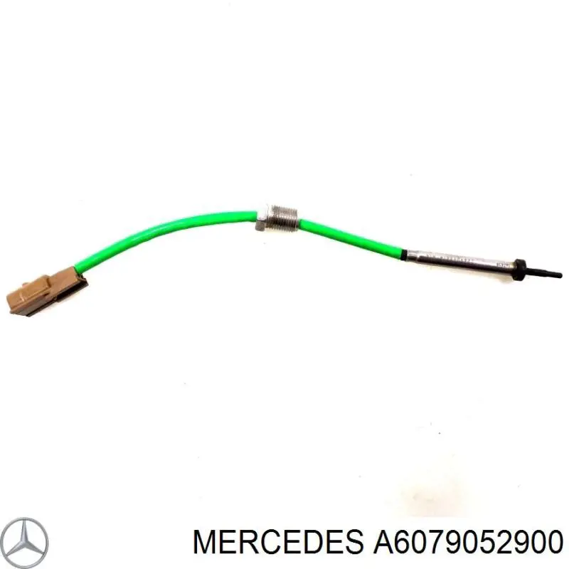 A6079052900 Mercedes