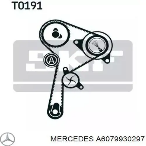 Rodillo, cadena de distribución Nissan Qashqai 2 J11