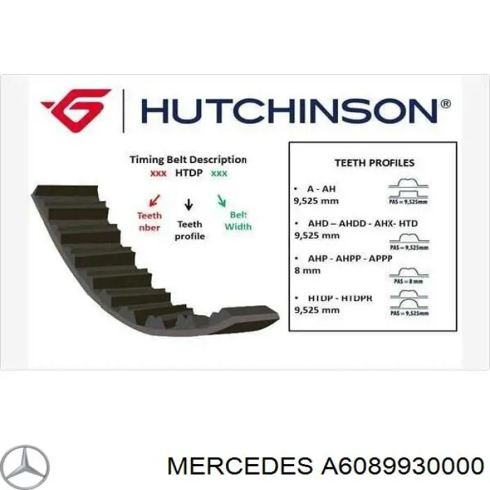 Correa distribución A6089930000 Mercedes