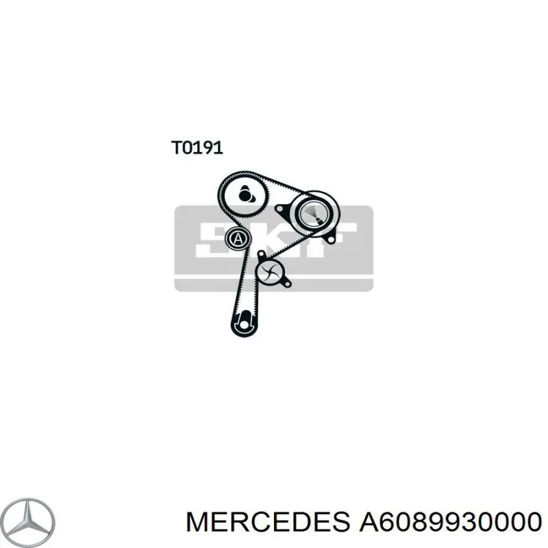 Comprar A6089930000 Mercedes Correa distribución