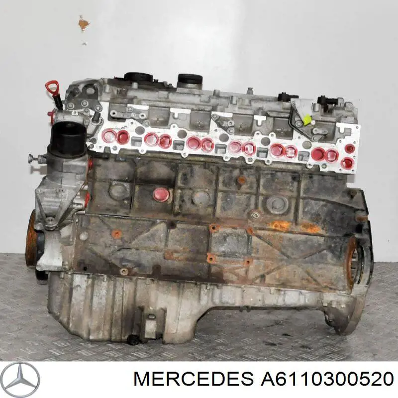 6460300220 Mercedes Biela