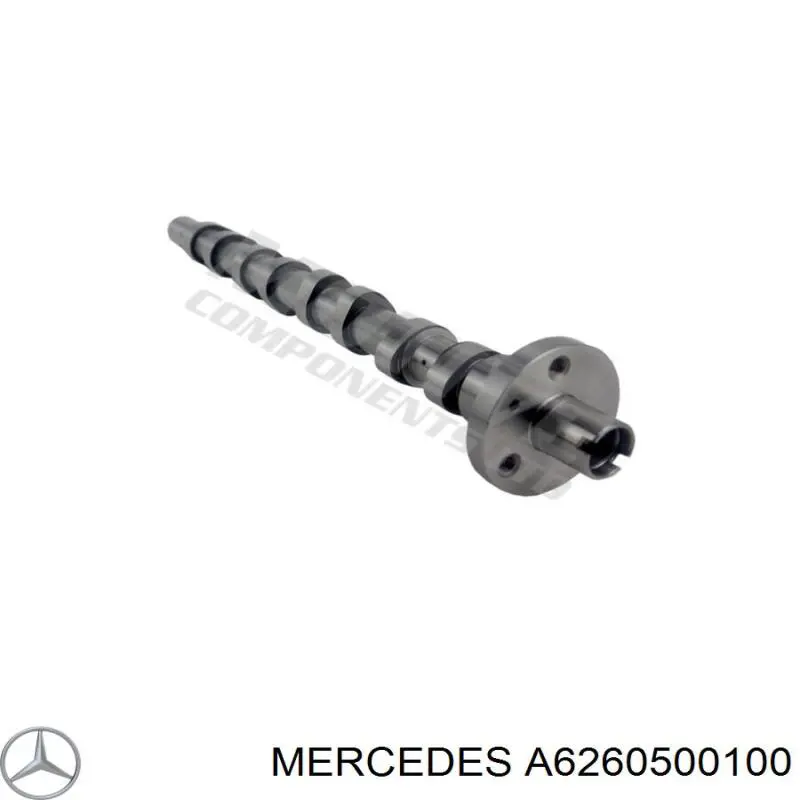 Comprar 50007923 Kolbenschmidt Árbol de levas de escape