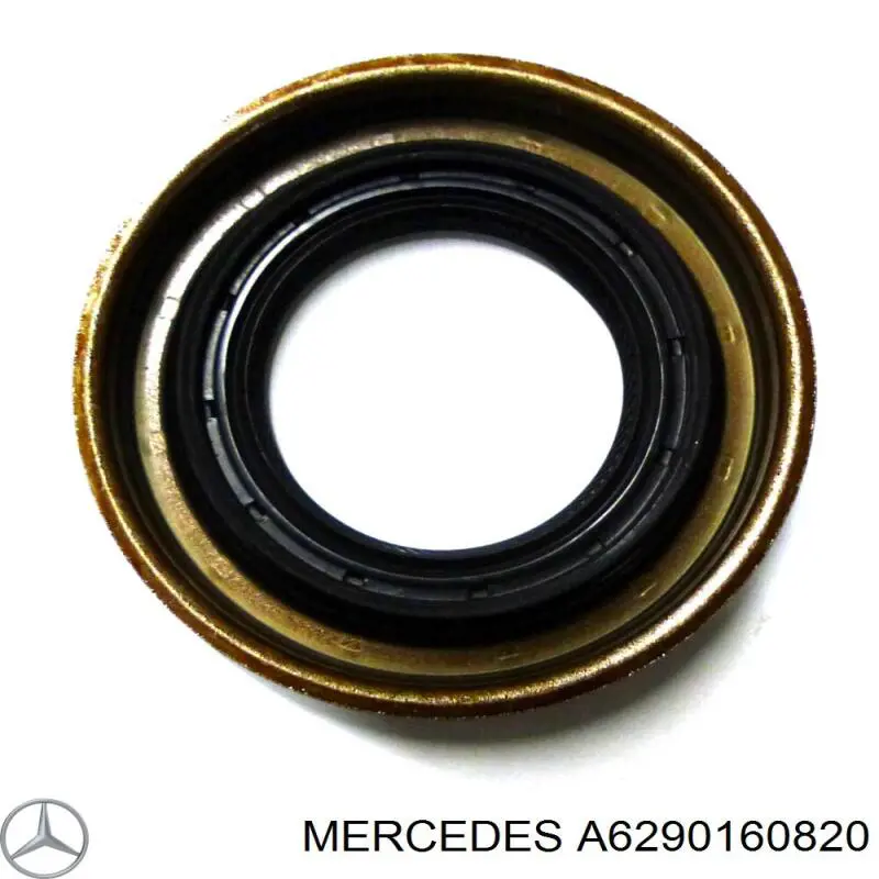 Junta de culata derecha Mercedes A6290160820 precio, desde 80,31 EUR