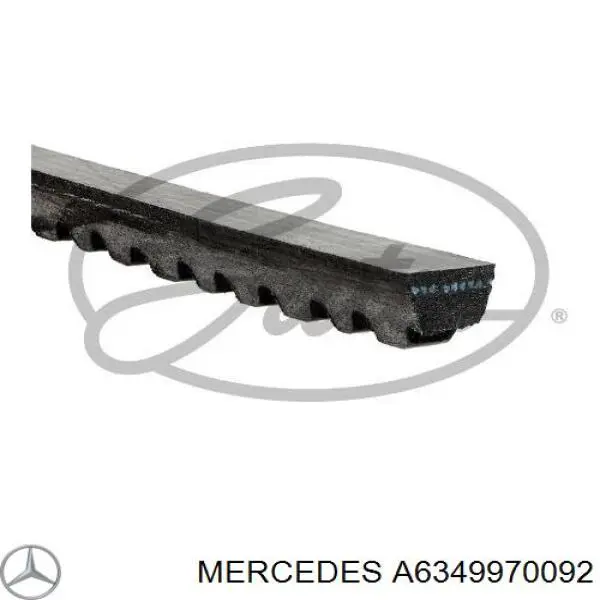 6349970092 Mercedes correa trapezoidal