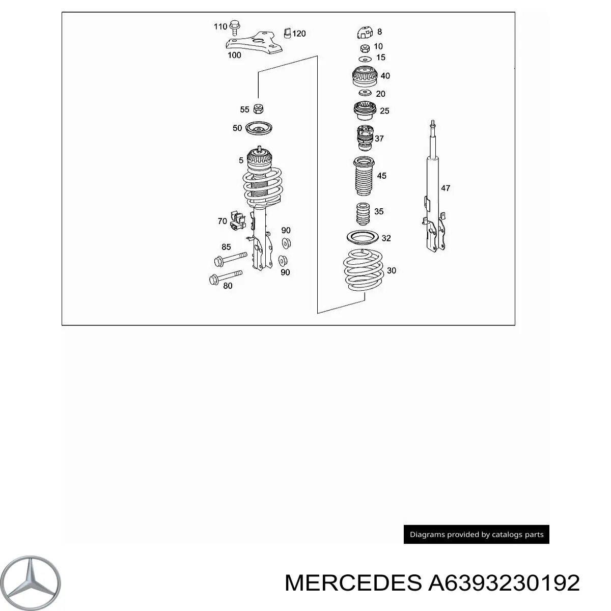 A6393230192 Mercedes fuelle, amortiguador delantero
