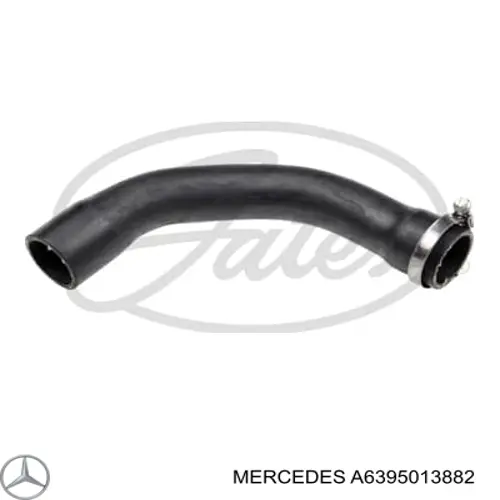 A6395013882 Mercedes manguera refrigerante para radiador inferiora
