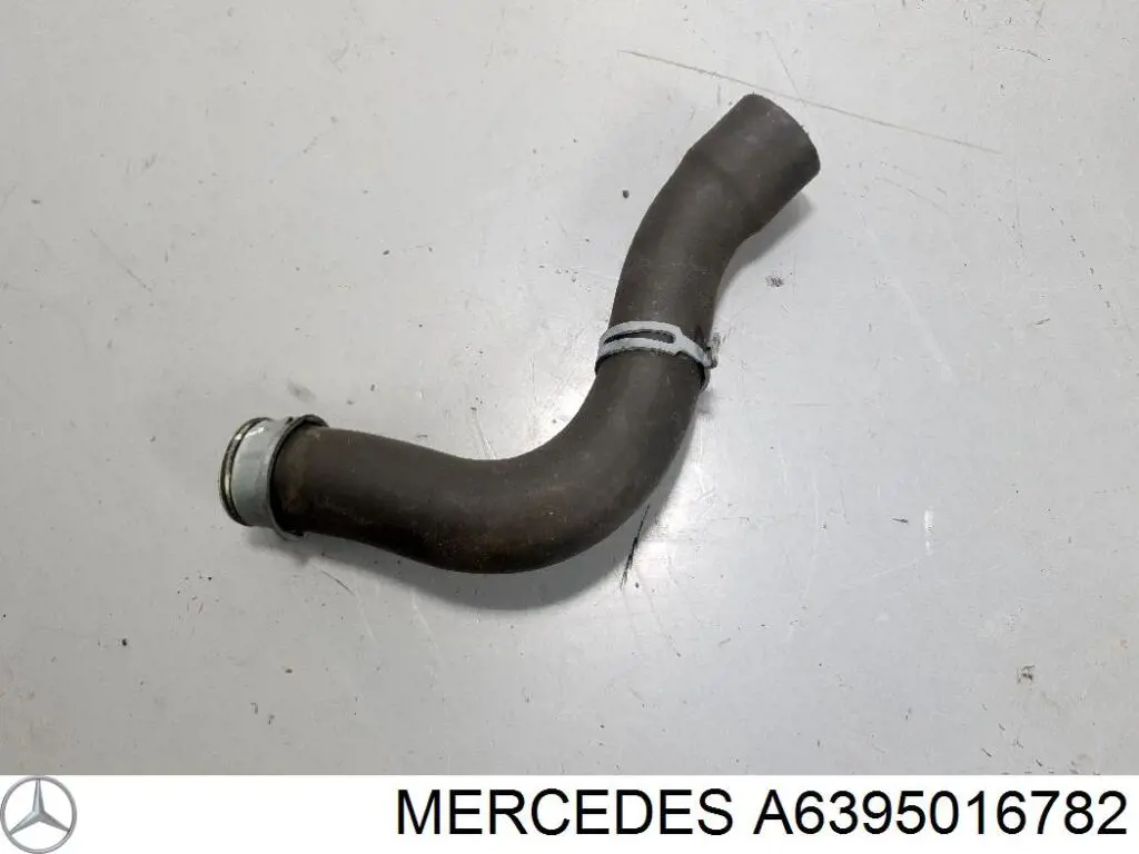 Comprar A6395016782 Mercedes Manguera inferior del radiador