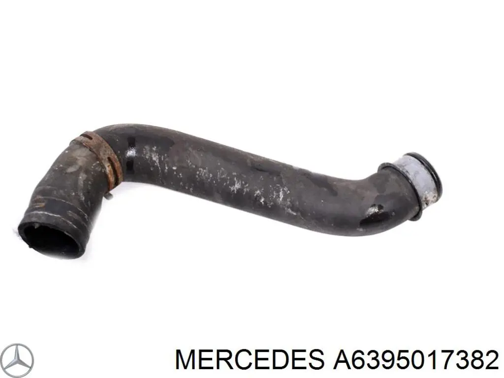 Manguera superior del radiador A6395017382 Mercedes