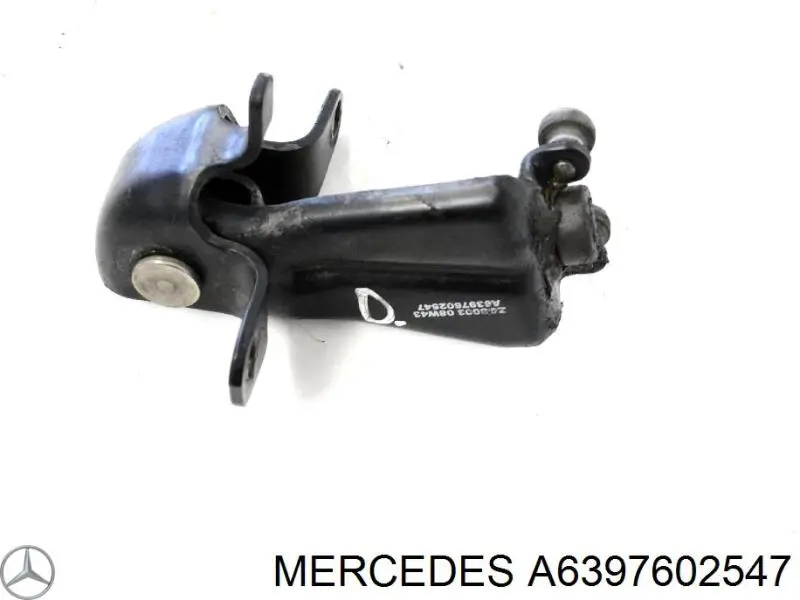 Rodillo central derecho de puerta corrediza Mercedes A6397602547 precio, desde 26,53 EUR